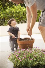 Father and son preparing potted plant
