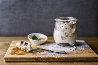 Tiramisu dessert with powdered sugar