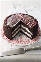 Chocolate cake with peppermint