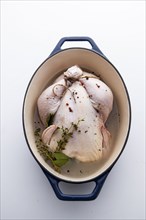 Raw whole chicken in pot