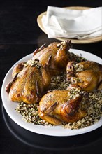 Cornish hens on plate with rice