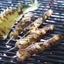 Chicken skewers cooking on grille