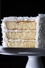 Coconut cake on tray missing slice