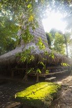 Trees around thatched Balinese hut
