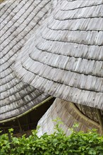 Close up of circular thatched roofs