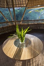 Plant on wooden table on patio