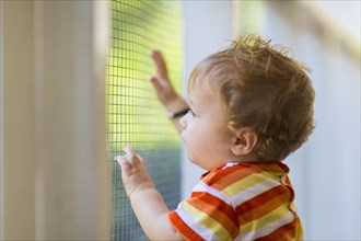 Caucasian toddler peering out screen door