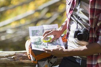 Mixed race hiker reading map in forest