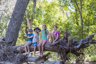 Caucasian children sitting on tree root in forest