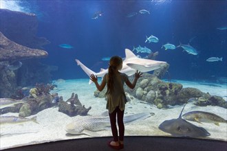 Caucasian girl admiring fish in aquarium