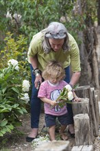 Caucasian woman and grandson picking flowers in garden