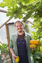 Caucasian gardener picking vegetables in greenhouse