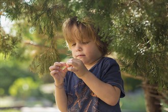Caucasian boy examining berry from tree