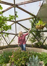 Caucasian woman examining plant in greenhouse