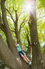 Caucasian girl climbing tree