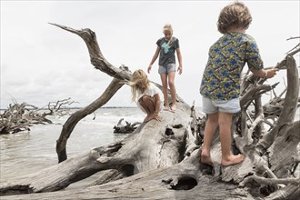 Caucasian boy and girls climbing on driftwood on beach