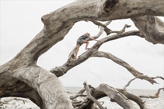 Caucasian girl climbing on driftwood on beach