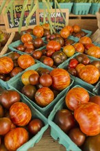 Variety of tomatoes at farmers market