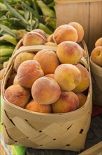 Basket of peaches at farmers market