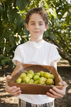 Caucasian boy picking fruit in orchard
