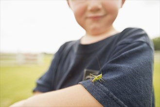 Caucasian boy playing with insect outdoors