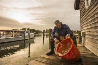 Caucasian fisherman washing catch in basket on dock