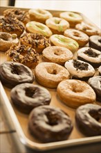 Close up of donuts for sale in bakery