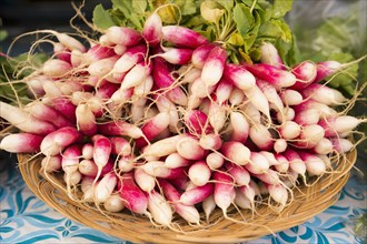 Close up of bunches of radishes