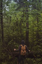Caucasian man walking in forest