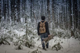 Caucasian hiker carrying firewood in snowy forest