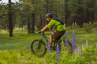Hispanic man riding mountain bike in meadow