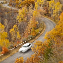 Car driving along road through autumn leaves