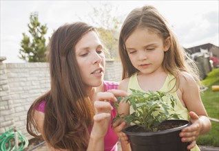 Caucasian mother and daughter gardening together