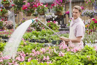 Caucasian worker watering flowers in plant nursery