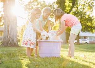 Caucasian children washing pet dog in backyard