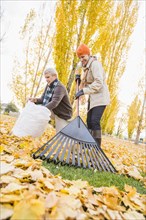 Older Caucasian couple raking autumn leaves
