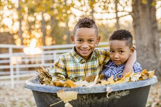 Brothers hugging in autumn leaves in wheelbarrow