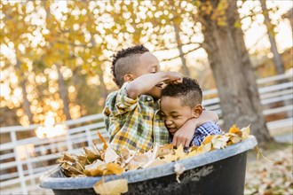 Brothers playing in autumn leaves in wheelbarrow