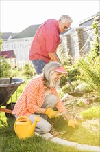 Caucasian couple gardening in backyard