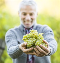 Caucasian farmer holding grapes in vineyard