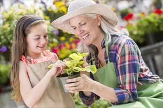 Caucasian grandmother and granddaughter holding potted plant in greenhouse