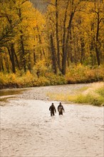 Caucasian men fishing in river