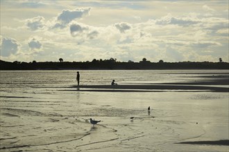 Distant birds and people in waves on beach