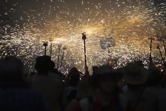 Crowd watching sparks in parade at night