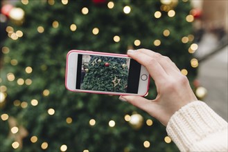 Hand of Caucasian woman photographing Christmas tree with cell phone