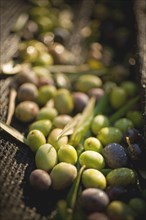 Green and black olives in basket