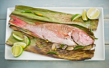 Fish on lime and corn husk