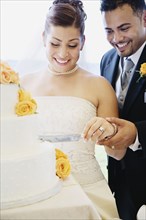 Multi-ethnic bride and groom cutting cake