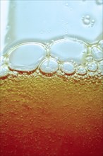 Close up of bubbles in beer glass