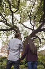 Couple holding hands and looking at tree